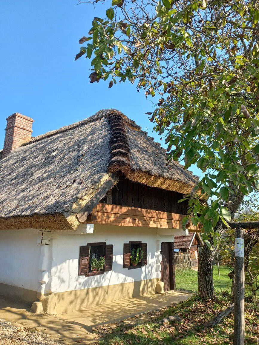 szabad helyek 